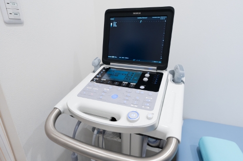 ポータブルエコー